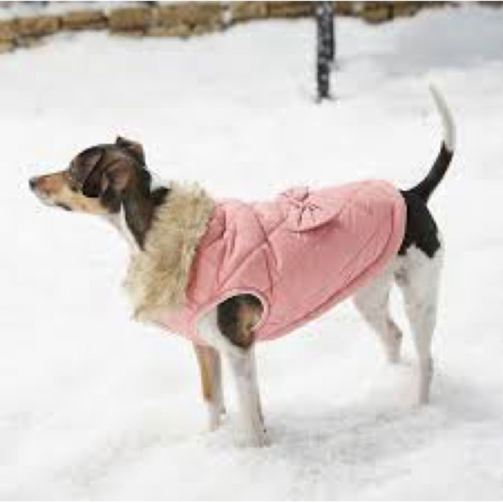 NWT Frisco Pink Mediumweight Aspen Insulated Quilted Dog Jacket with Bow XXL - Picture 2 of 5